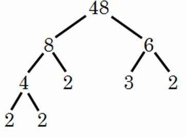 Factor Tree of 48